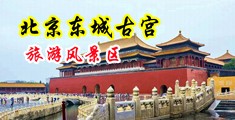 把老女人插出水中国北京-东城古宫旅游风景区